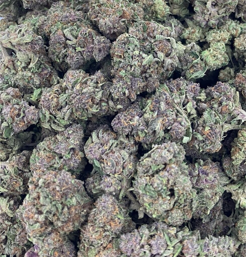 Agent Orange